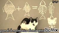 matematica GIF animé