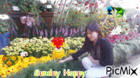 sunday happy - GIF animé gratuit