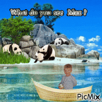Max panda GIF animado
