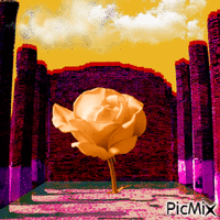 blossomcolumns - Δωρεάν κινούμενο GIF