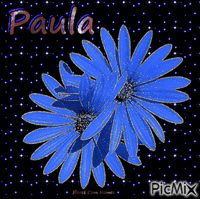 Paula animasyonlu GIF