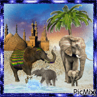 rassemblement des éléphants Animated GIF