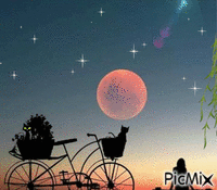 goodnight - Bezmaksas animēts GIF