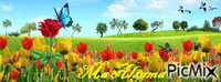 ماء السماء - Ücretsiz animasyonlu GIF