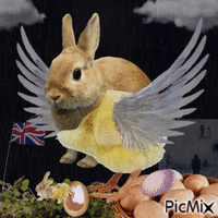 bunny chimera GIF animado