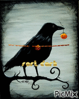 crow - Бесплатни анимирани ГИФ