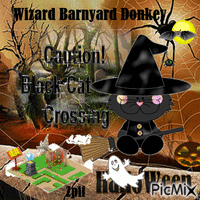 Wizard Barnyard Donkey animuotas GIF