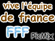 vive la france - Zdarma animovaný GIF