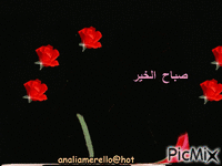 mañana de rosas y jazmines animovaný GIF
