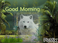 White Wolf22 - GIF animado grátis