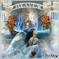 Heavens Angels
