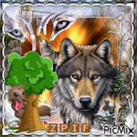 Plotting Wolf анимиран GIF