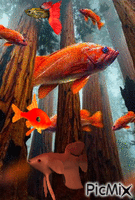 Peces en el bosque анимиран GIF