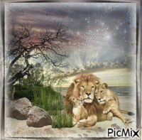leijonat - GIF animé gratuit