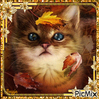 autumn cat κινούμενο GIF