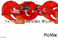 turk - Бесплатный анимированный гифка