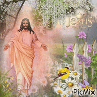 Jesus in der Natur - GIF animé gratuit