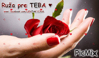 Ruža pre Teba ♥ - Безплатен анимиран GIF