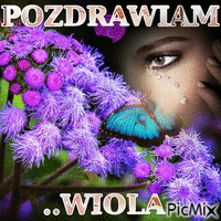 wiola - Ingyenes animált GIF