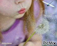 Dandylion and dragonfly animuotas GIF