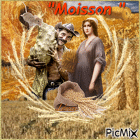 MOISSON Animated GIF
