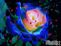 kwiaty - Darmowy animowany GIF