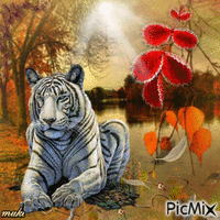 Tigre animēts GIF