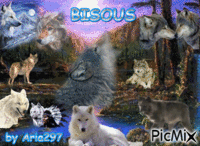 loup bisous - Free animated GIF
