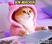 bon mercredi - Δωρεάν κινούμενο GIF