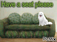 Dog on a Cactus Couch - GIF animé gratuit