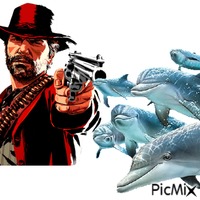 red dolphin redemption