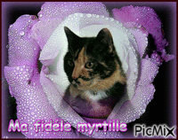 myrtille - Δωρεάν κινούμενο GIF