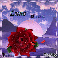 Luna y rosa - GIF animé gratuit