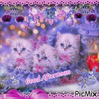 Good Afternoon - Christmas Kittens - GIF animé gratuit