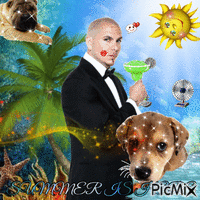 Summer Pitbull GIF animado