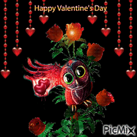 valentine owl animovaný GIF