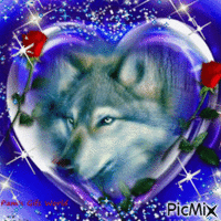 Wolf Heart and Roses - Бесплатный анимированный гифка
