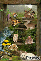 rabbit animeret GIF