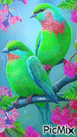 pajarillos verdes Animated GIF