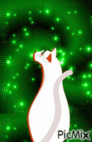 Elegant Cat - GIF animasi gratis