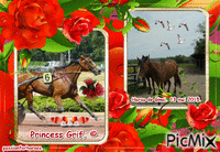 La championne retraitée Princess Grif. © - GIF animé gratuit