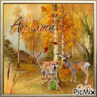 autumn 🌹🌼 - Free animated GIF
