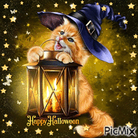 Happy Halloween Cat and Lantern - GIF animado grátis