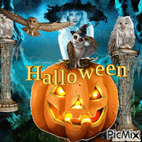 halloween owl анимированный гифка
