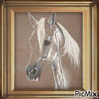 Pferd - GIF animé gratuit