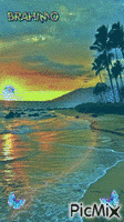 la plage et le soleil - GIF animasi gratis