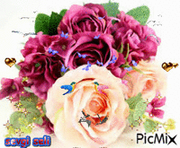 http://tr.picmix.com/css/pix.gif - 免费动画 GIF