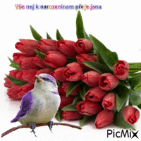tulipany - GIF animado gratis