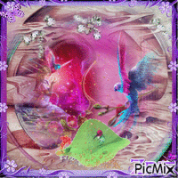 Anna's Hummingbird animált GIF