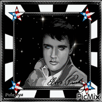 Elvis Presley, hommage - noir et blanc portrait - Ücretsiz animasyonlu GIF